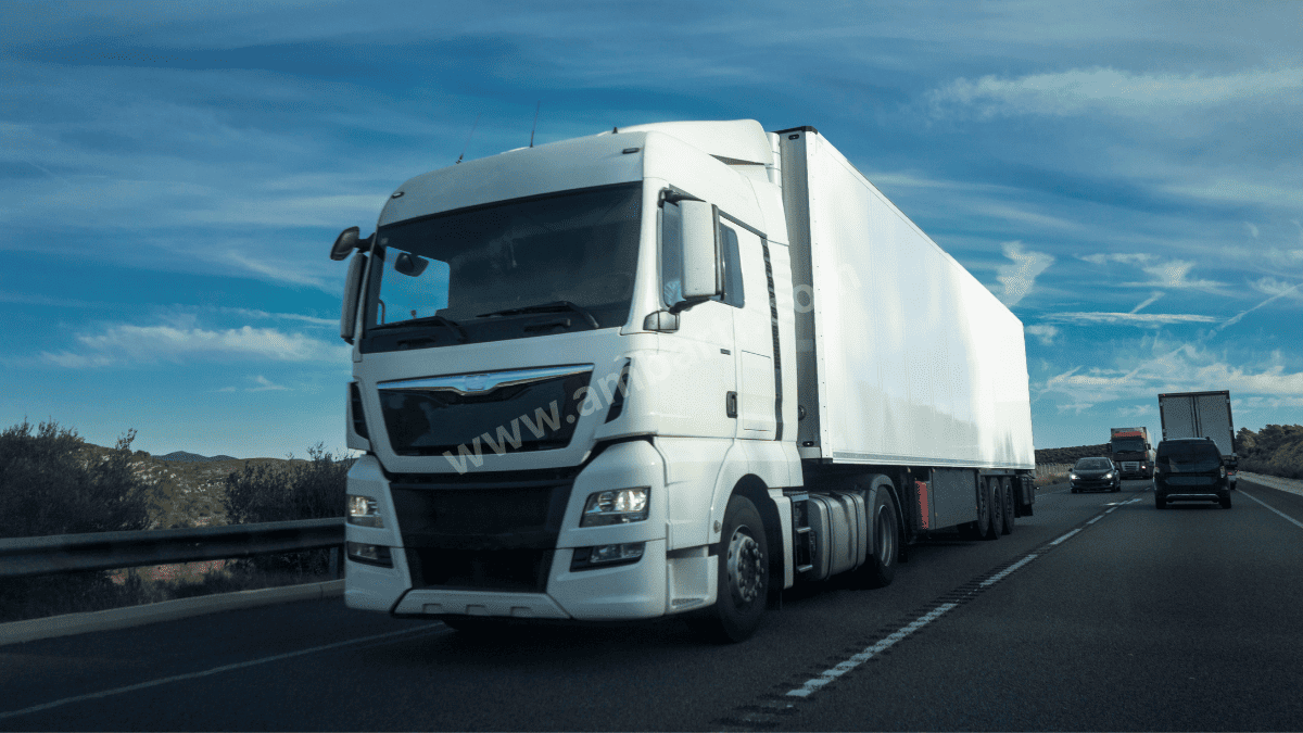 Giresun Şehirler Arası Taşıma